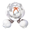 花園のコサージュ
